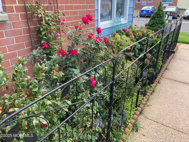 a view of a potted flower in a yard next to a building