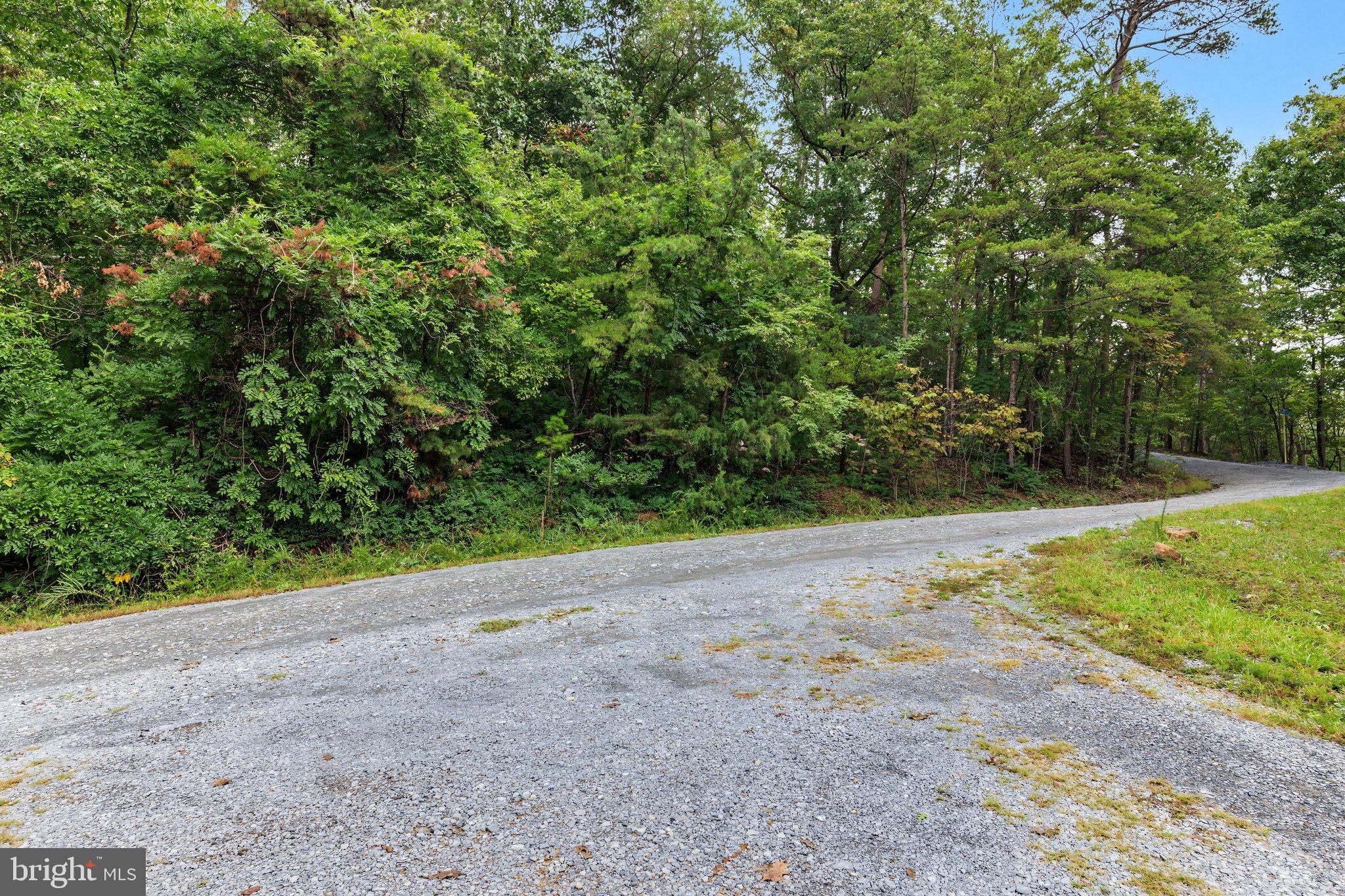1272 Shipwreck Road Shenandoah, VA 22849 - Photo 33 of 37 BY1A2766-ABSALT-SEPT2026 29