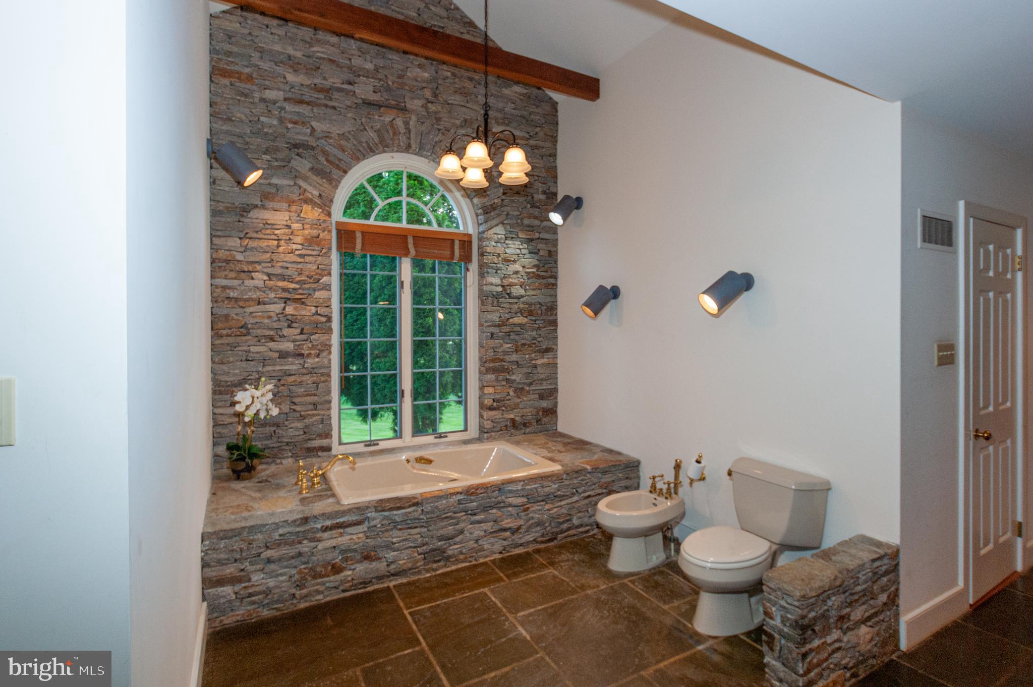 656 St Matthews Road Chester Springs, PA 19425 - Photo 44 of 66 Primary 6 piece Bath w/ Stone Shower and Whirlpool