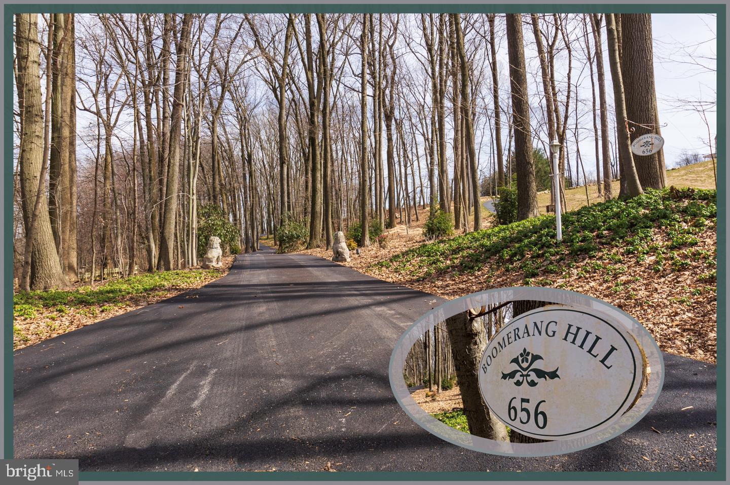 656 St Matthews Road Chester Springs, PA 19425 - Photo 10 of 66 Private wooded Driveway