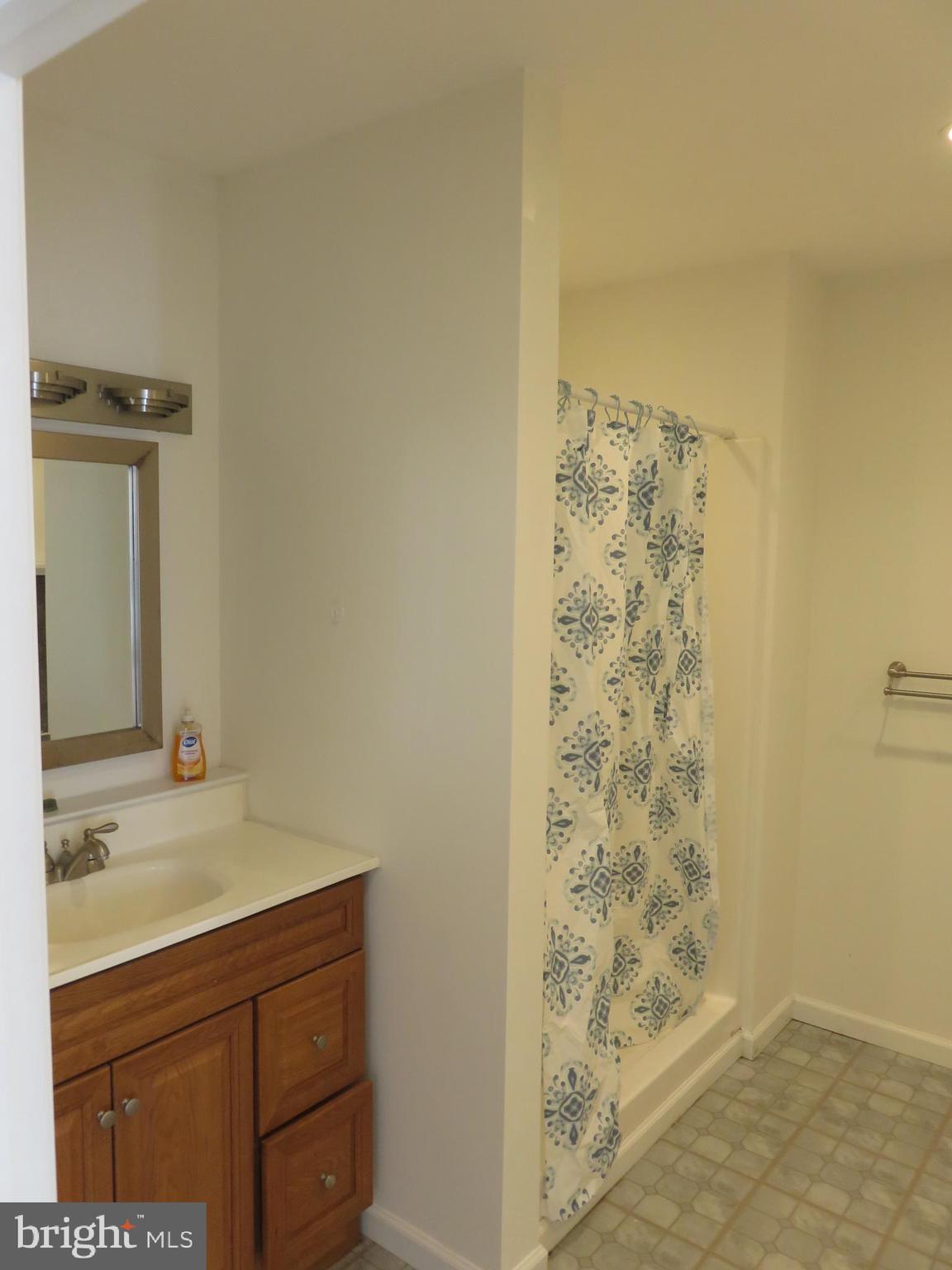 27 Bridle Ridge Circle Lewes, DE 19958 - Photo 36 of 61 Walk-in shower in first floor primary