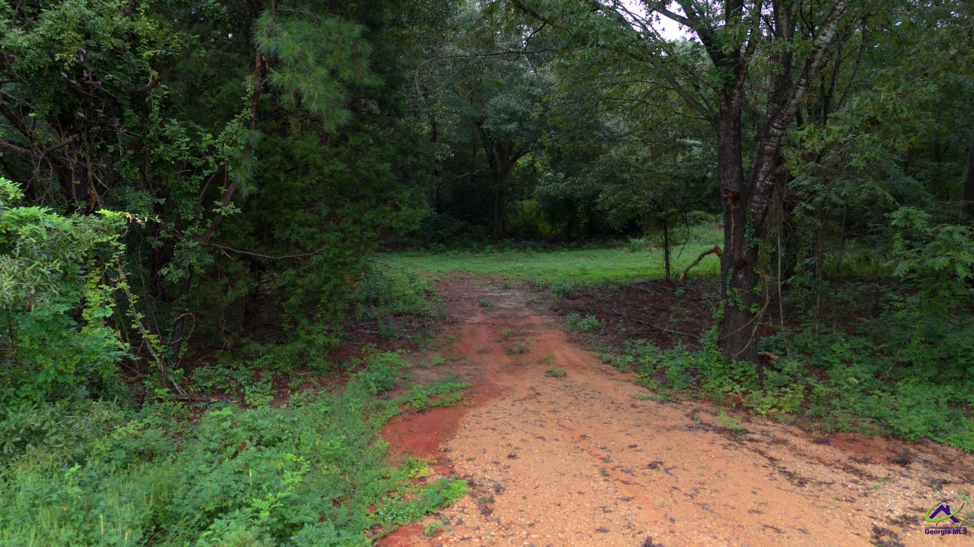 Grovania Road Elko, GA 31025 - Photo 14 of 23