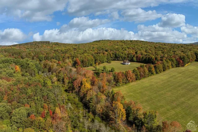 $1,125,000 | 1144-1184 Hollister Hill Road, Delhi, NY 13753