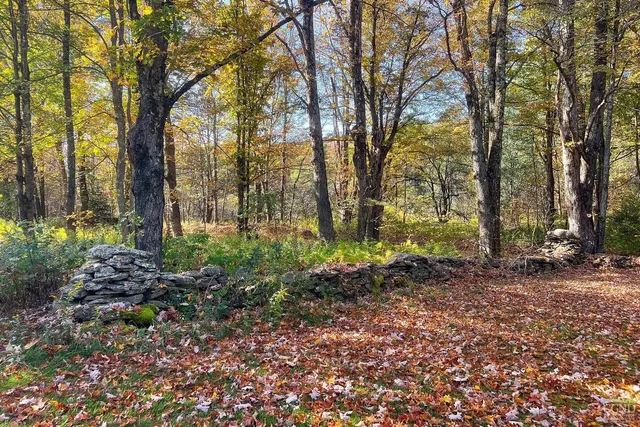 $1,125,000 | 1144-1184 Hollister Hill Road, Delhi, NY 13753