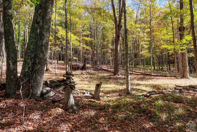 $1,125,000 | 1144-1184 Hollister Hill Road, Delhi, NY 13753