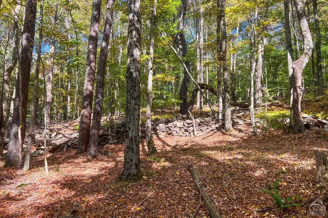 $1,125,000 | 1144-1184 Hollister Hill Road, Delhi, NY 13753