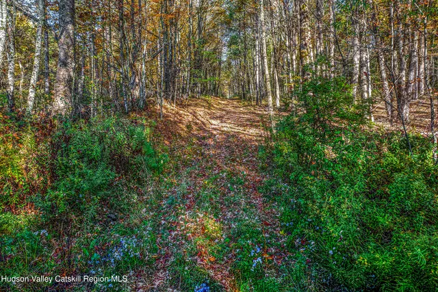 $1,125,000 | 1144-1184 Hollister Hill Road, Delhi, NY 13753