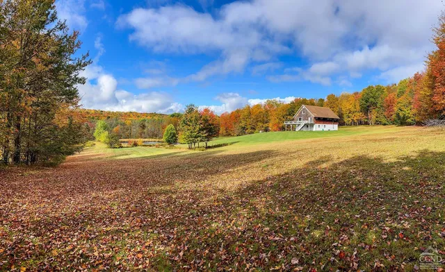 $1,125,000 | 1144-1184 Hollister Hill Road, Delhi, NY 13753