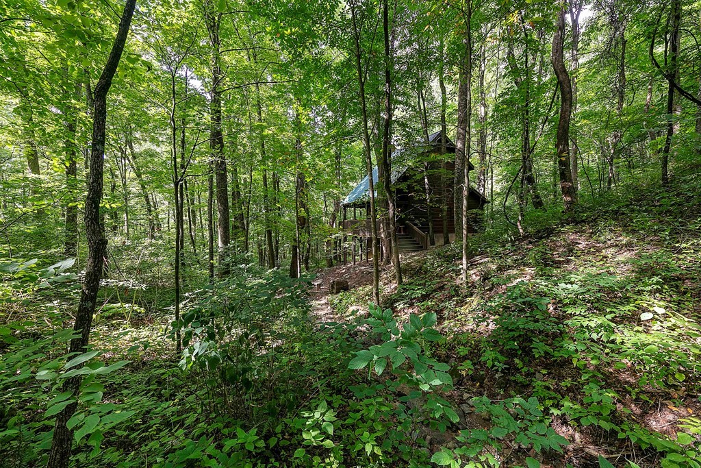 3613 Cove Mountain Road Pigeon Forge, TN 37862 - Photo 26 of 29 Gallery Image 26