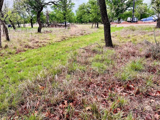 a view of a yard with trees