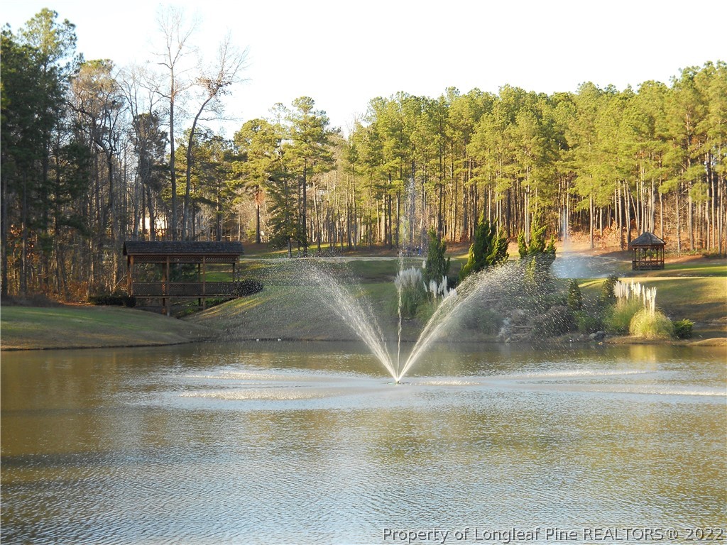 208 School Side Drive Spring Lake, NC 28390 - Photo 5 of 7 a view of a water fountain in middle of the house