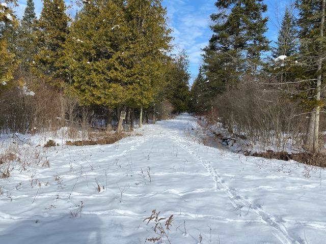 0 Croll Road Gladwin, MI 48624 - Photo 3 of 20