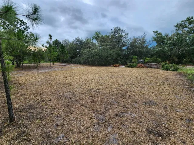 a big yard with lots of green space