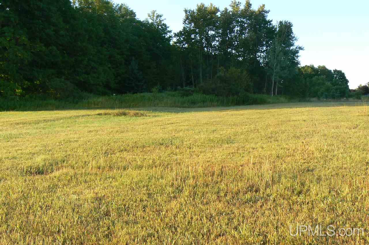 Tbd M94 Chatham, MI 49816 - Photo 5 of 5