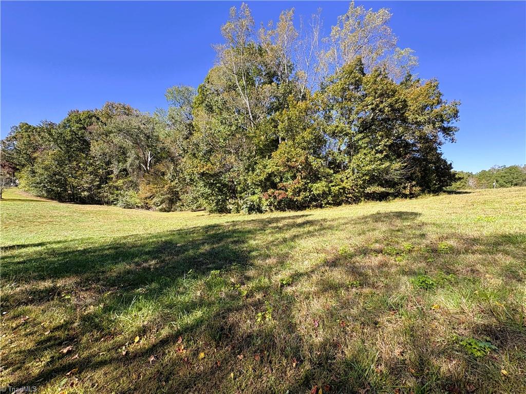 613 Barker Road Summerfield, NC 27358 - Photo 11 of 50