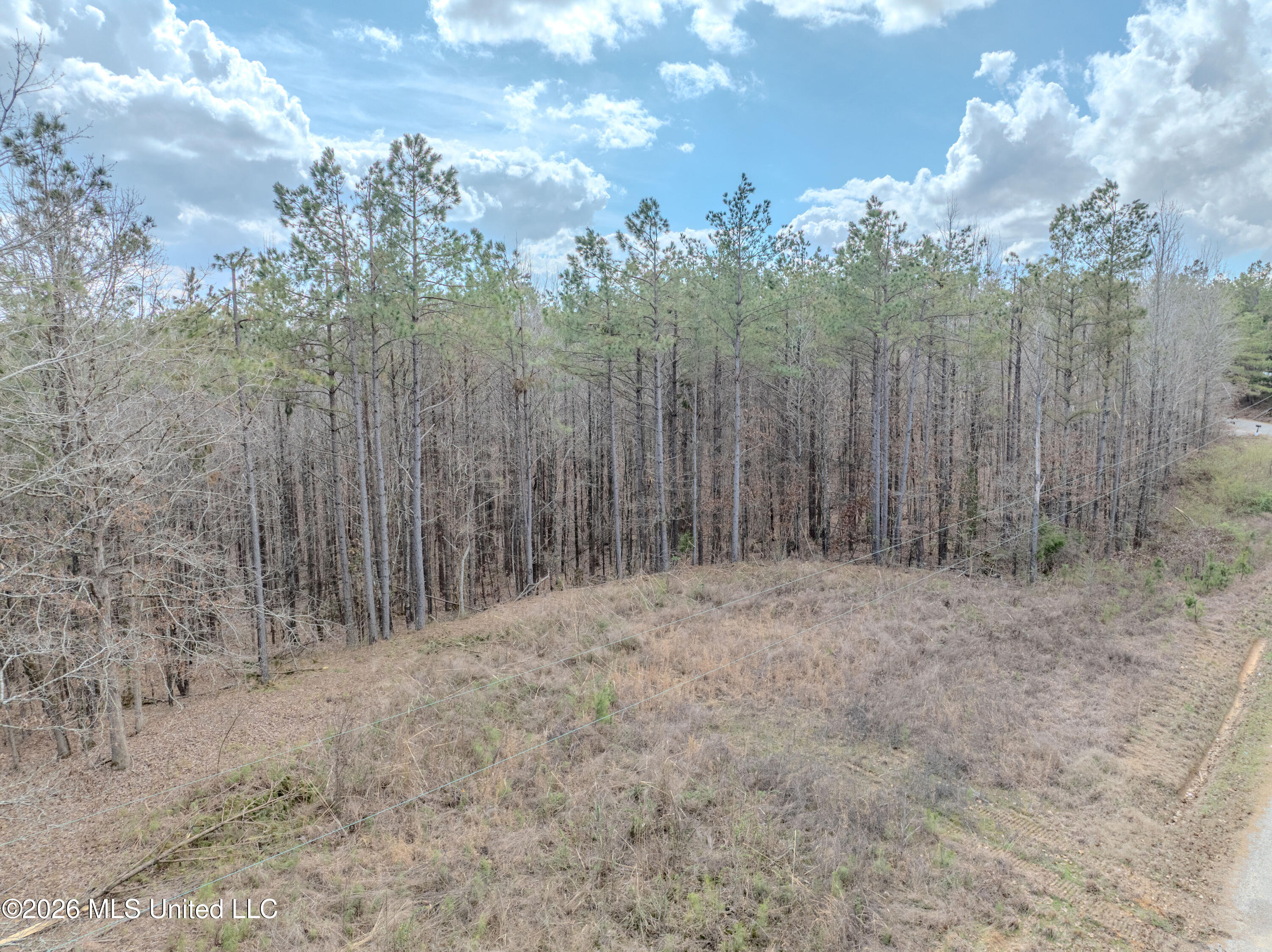 Wilkins Chapel Road Holly Springs, MS 38635 - Photo 11 of 24 wilkins chapel-43