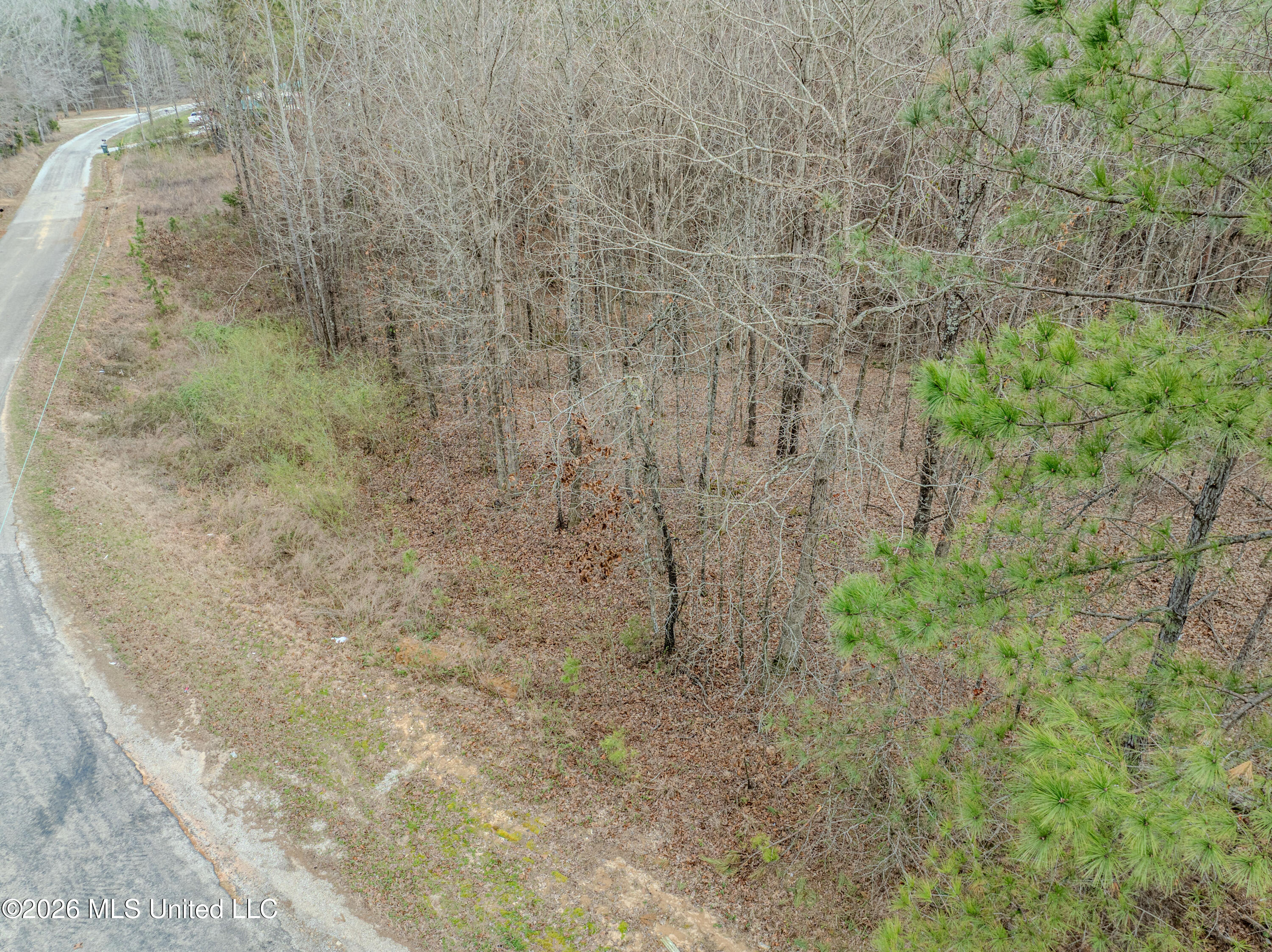 Wilkins Chapel Road Holly Springs, MS 38635 - Photo 12 of 24 wilkins chapel-37