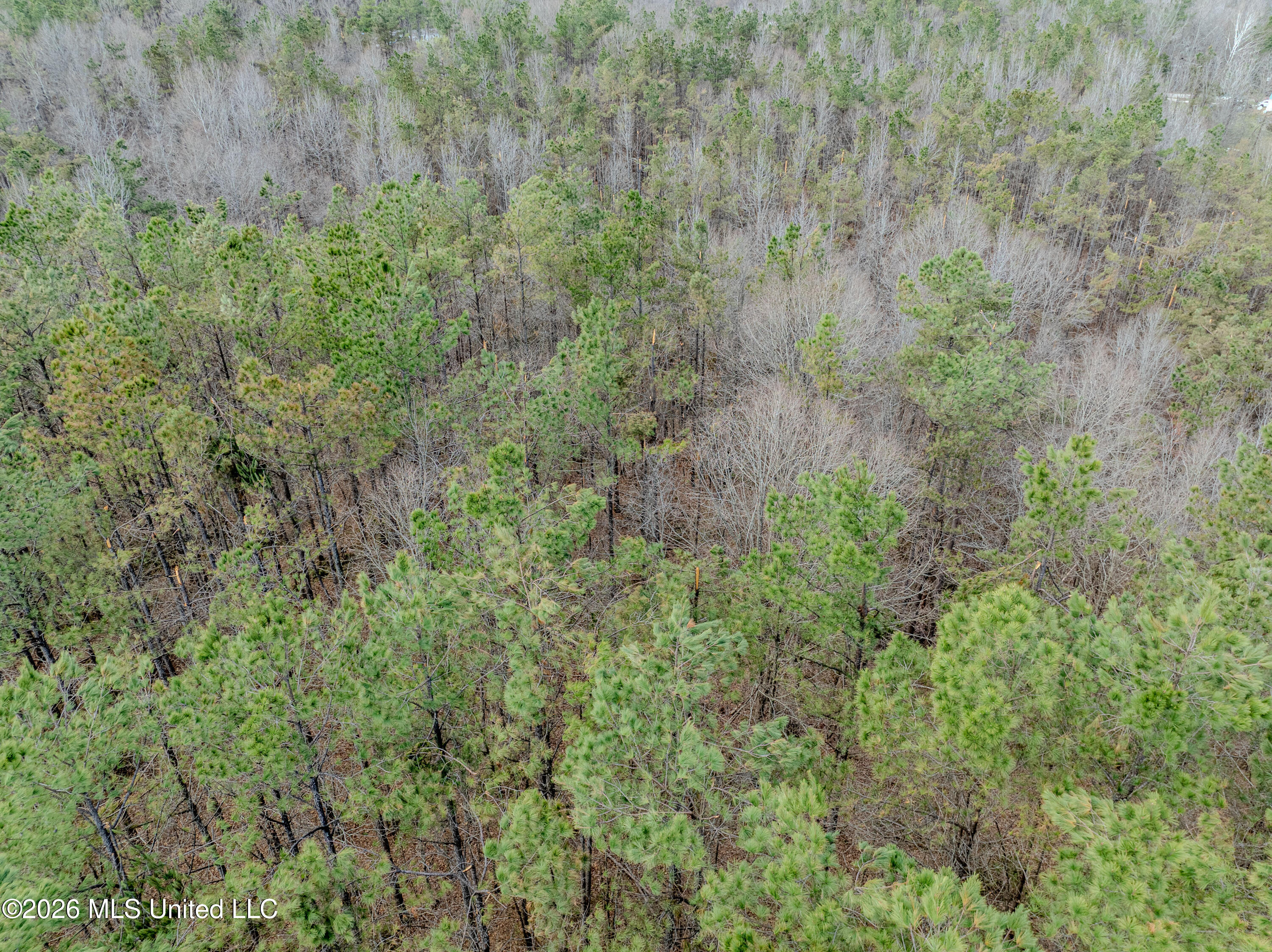 Wilkins Chapel Road Holly Springs, MS 38635 - Photo 13 of 24 wilkins chapel-36