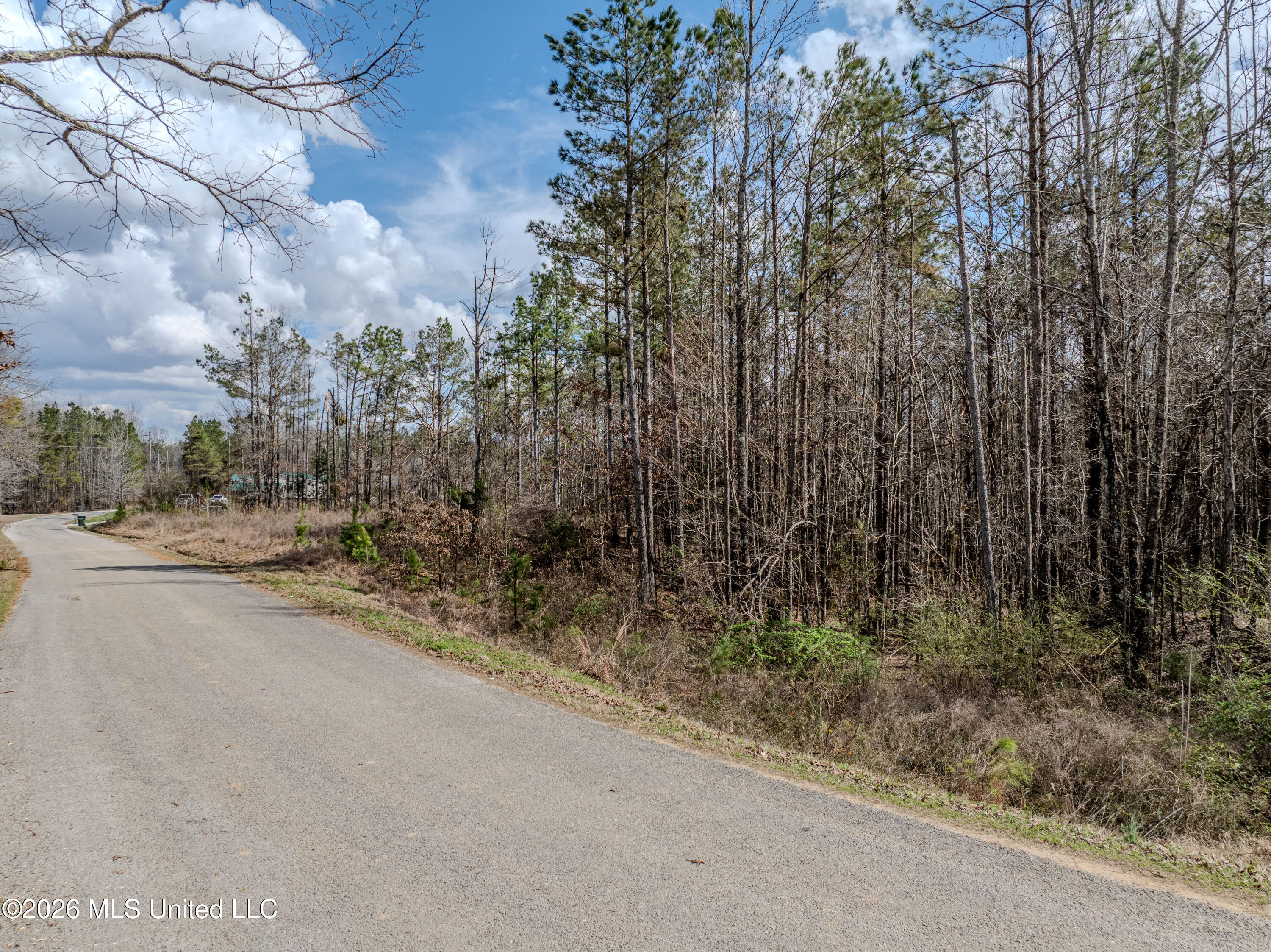 Wilkins Chapel Road Holly Springs, MS 38635 - Photo 22 of 24 wilkins chapel-24
