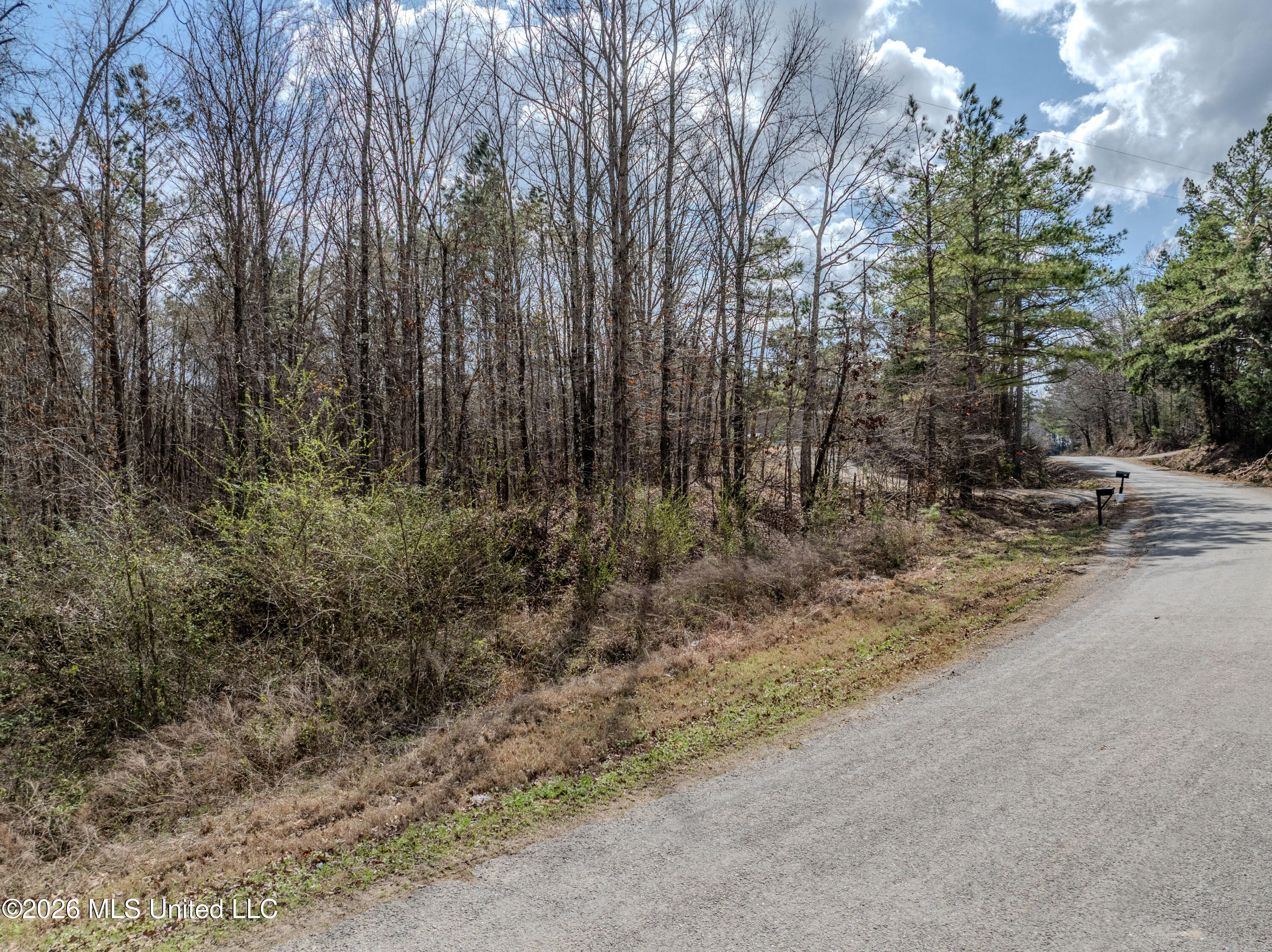 Wilkins Chapel Road Holly Springs, MS 38635 - Photo 23 of 24 wilkins chapel-25