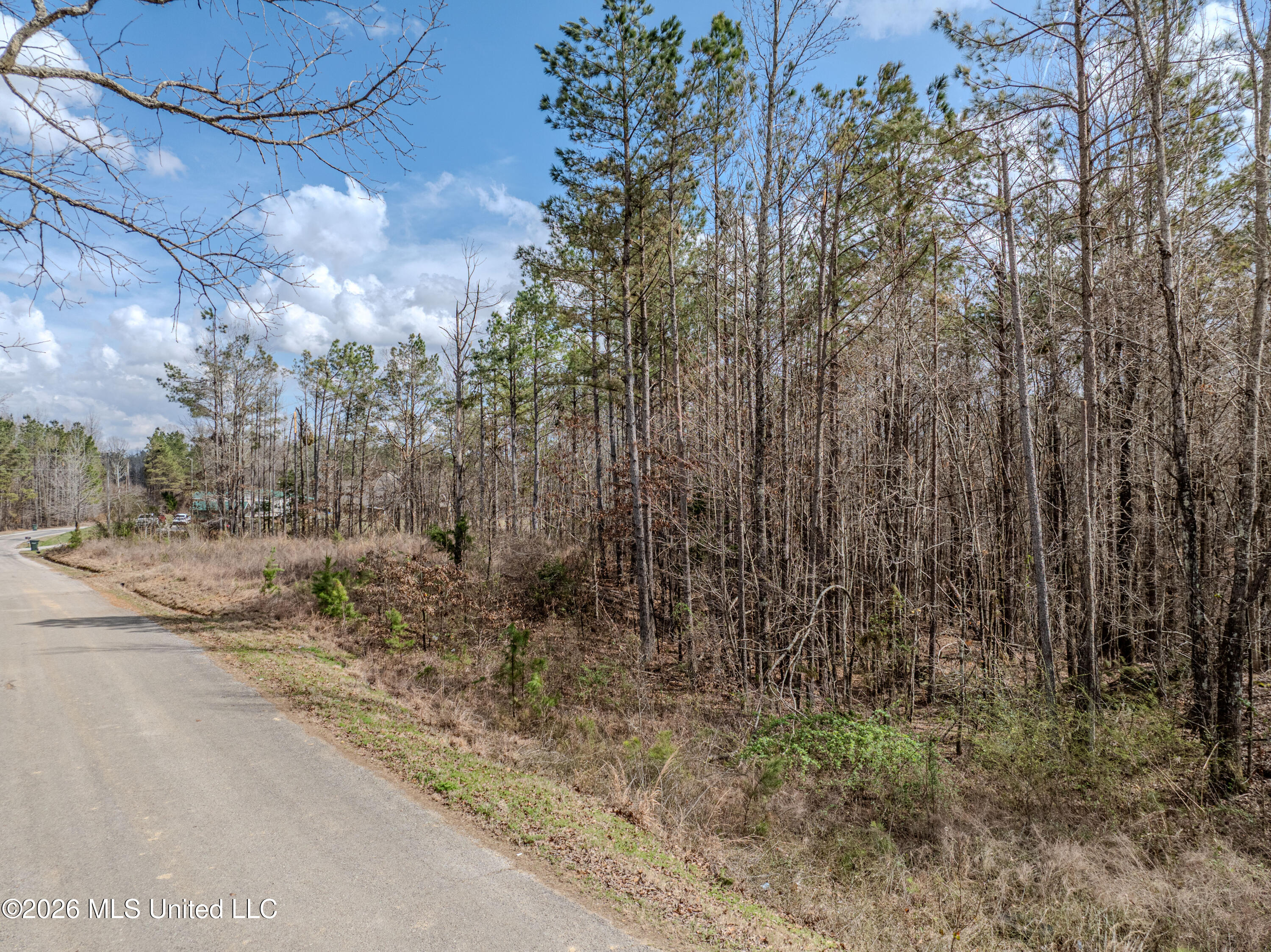 Wilkins Chapel Road Holly Springs, MS 38635 - Photo 3 of 24 wilkins chapel-47