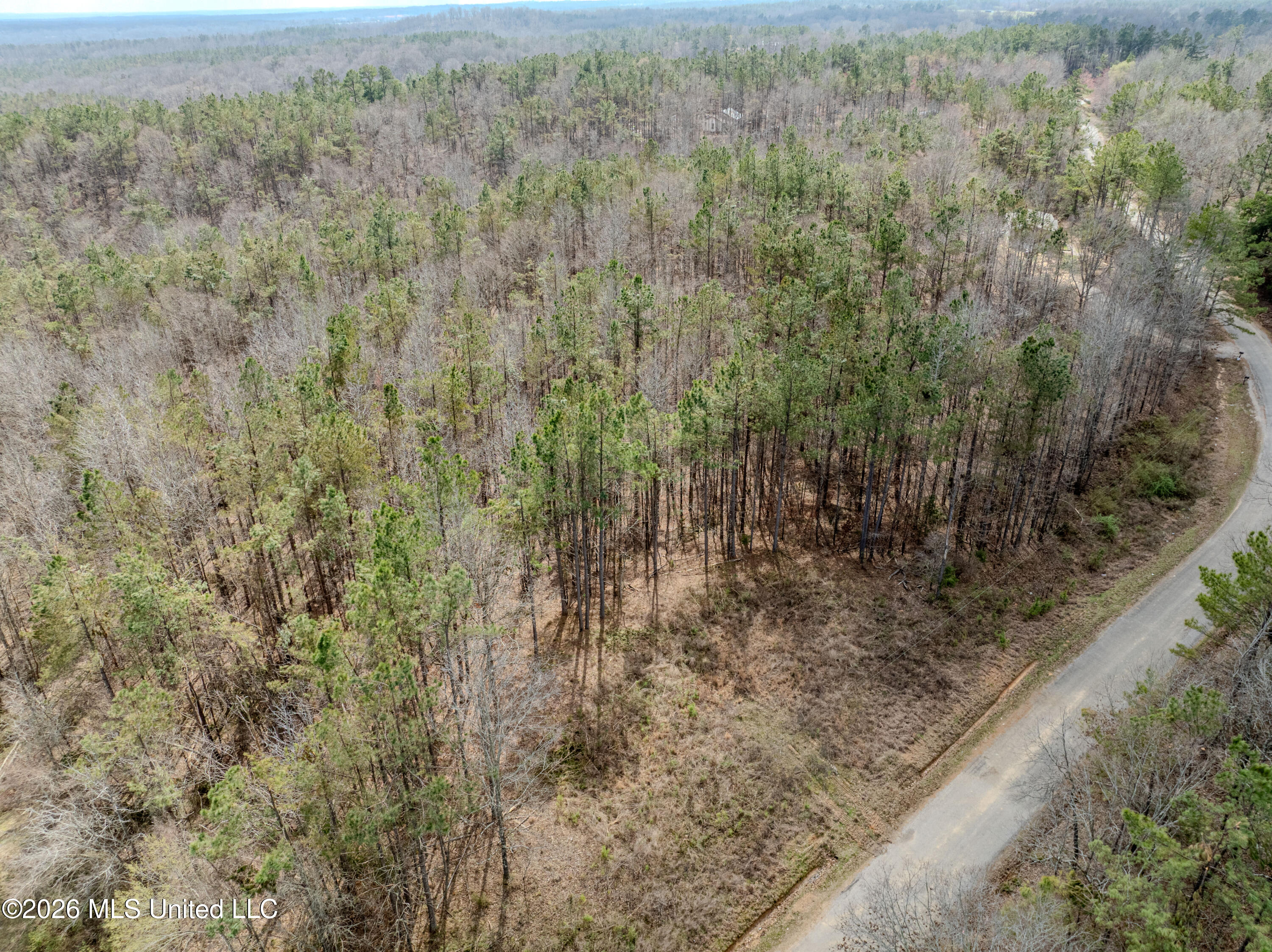 Wilkins Chapel Road Holly Springs, MS 38635 - Photo 4 of 24 wilkins chapel-46