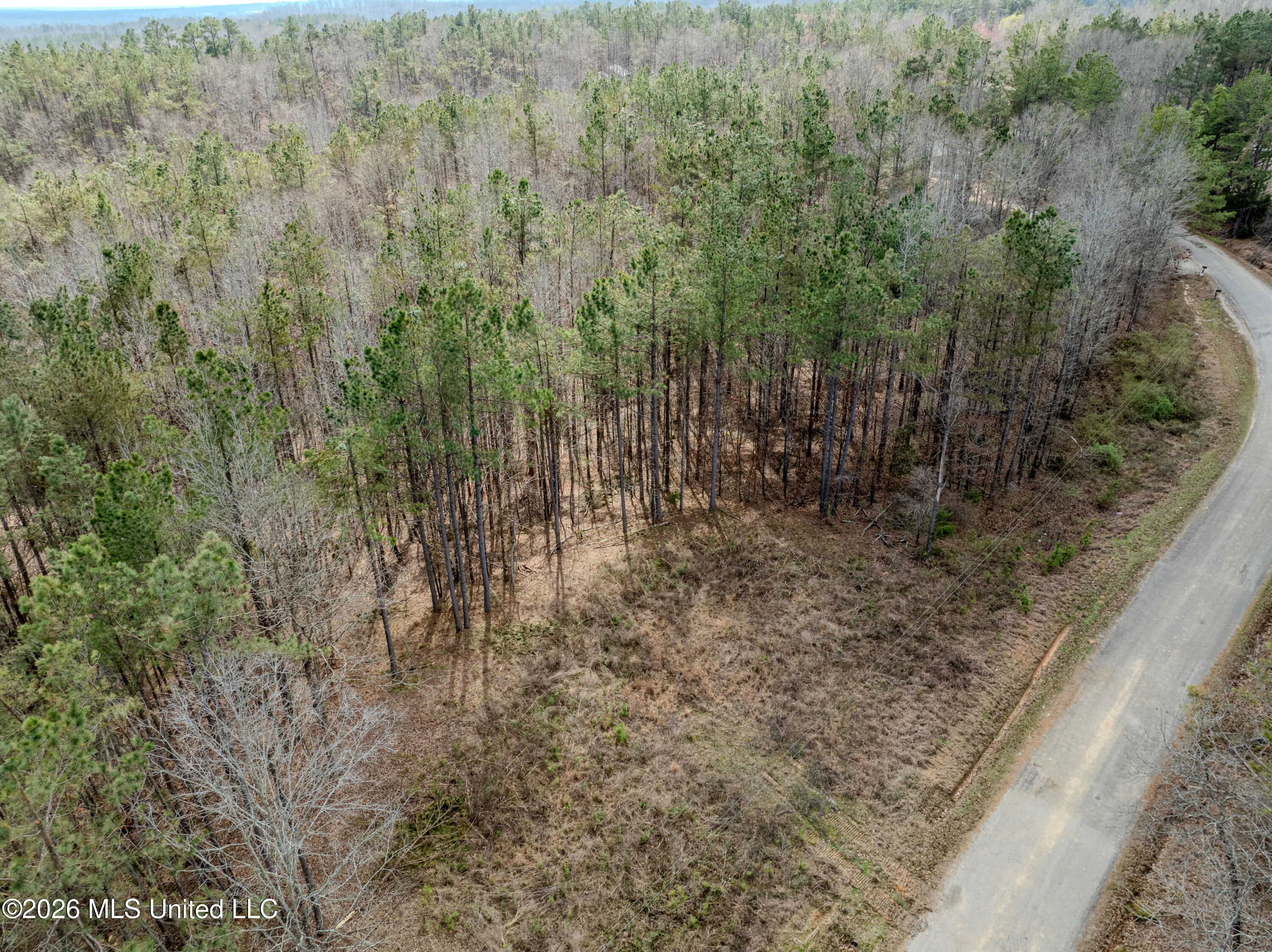 Wilkins Chapel Road Holly Springs, MS 38635 - Photo 5 of 24 wilkins chapel-45