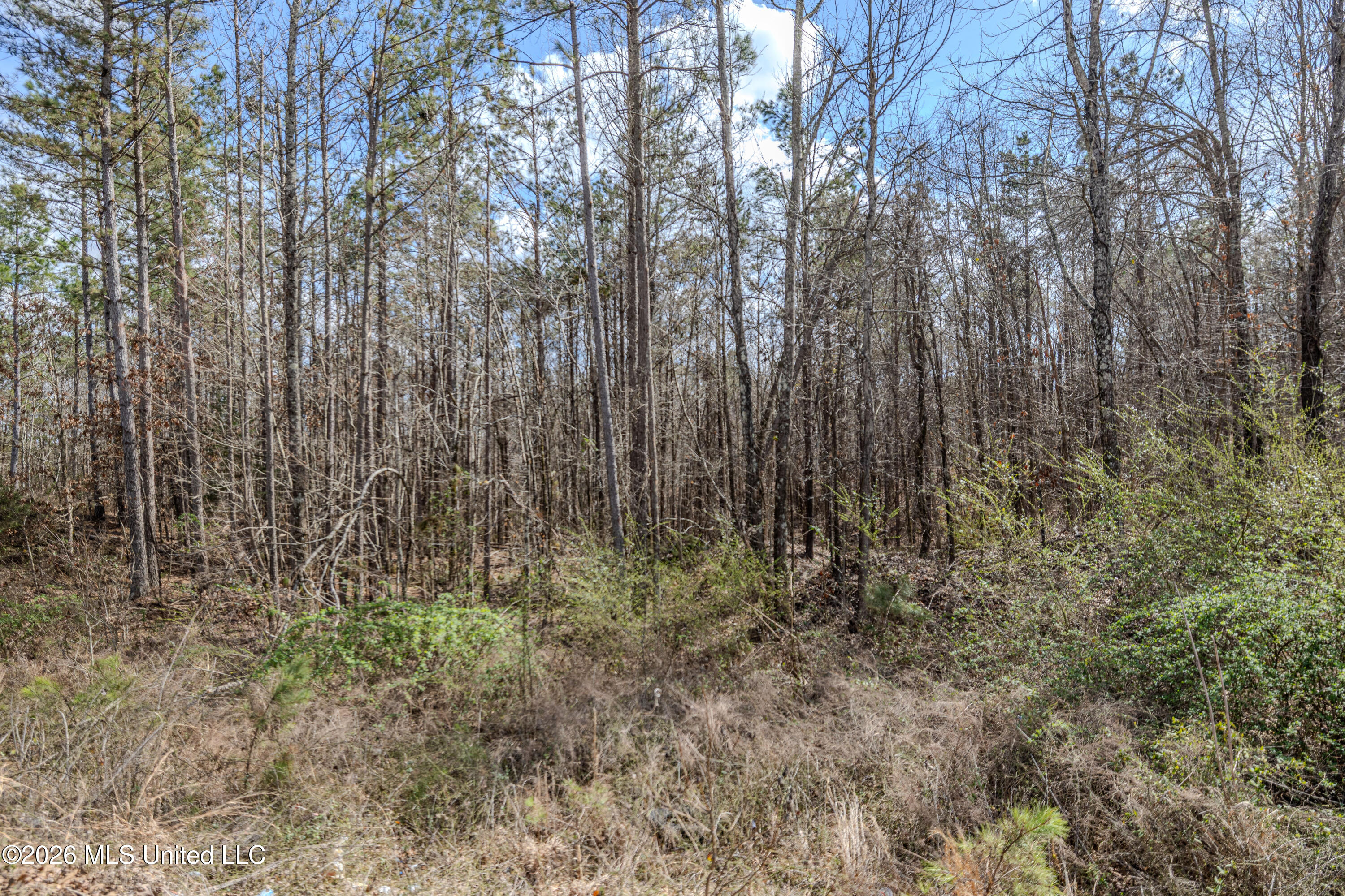 Wilkins Chapel Road Holly Springs, MS 38635 - Photo 6 of 24 wilkins chapel-44