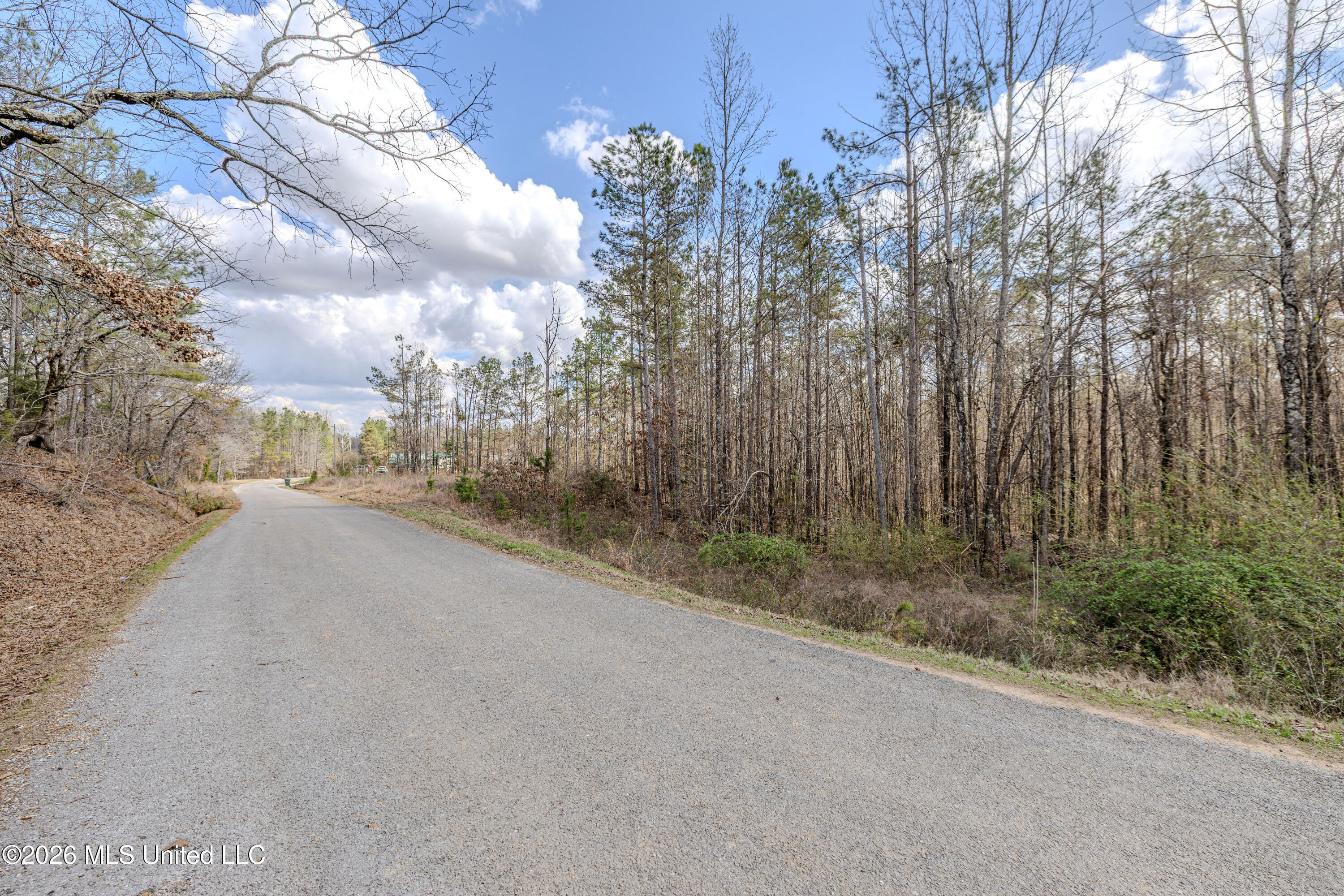 Wilkins Chapel Road Holly Springs, MS 38635 - Photo 9 of 24 wilkins chapel-39