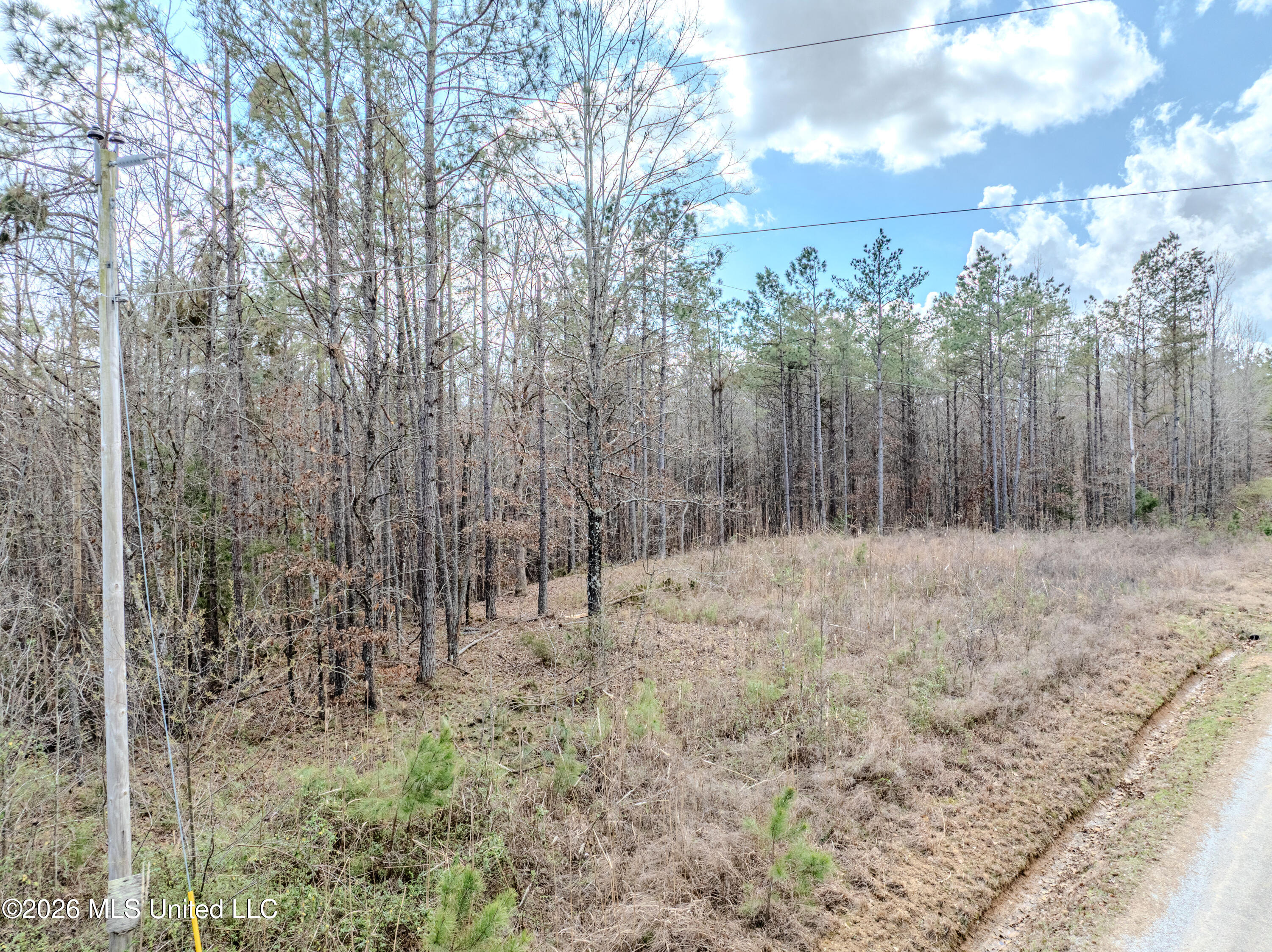 Wilkins Chapel Road Holly Springs, MS 38635 - Photo 10 of 24 wilkins chapel-41