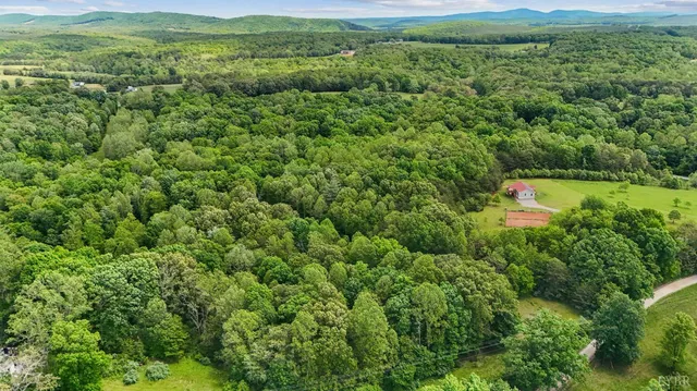 a view of a lush green field with lots of bushes