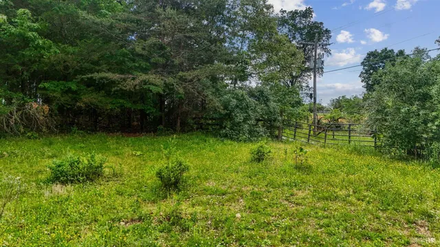 a view of yard with green space