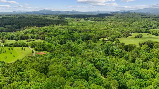a view of a lush green forest with trees and houses
