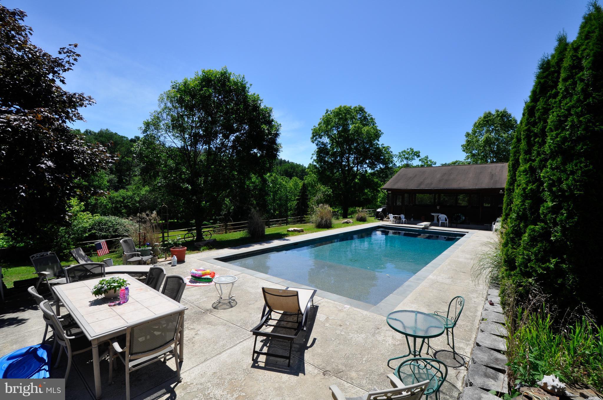 3006-3018 Sumantown Road Middletown, MD 21769 - Photo 13 of 29 View of the pool area