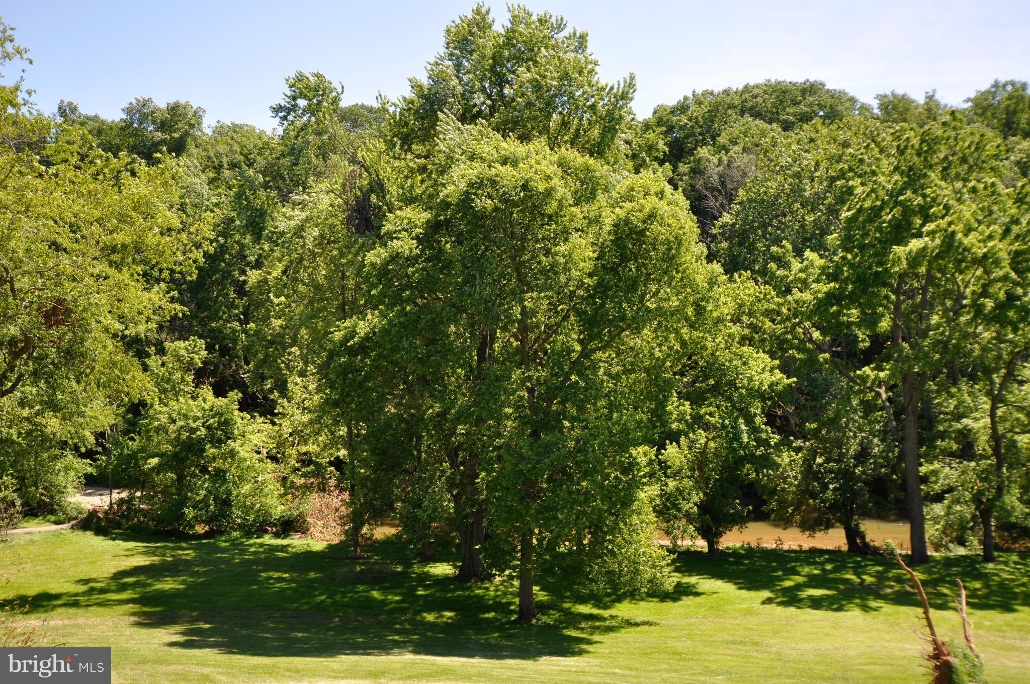 3006-3018 Sumantown Road Middletown, MD 21769 - Photo 16 of 29 View from courtyard to creek