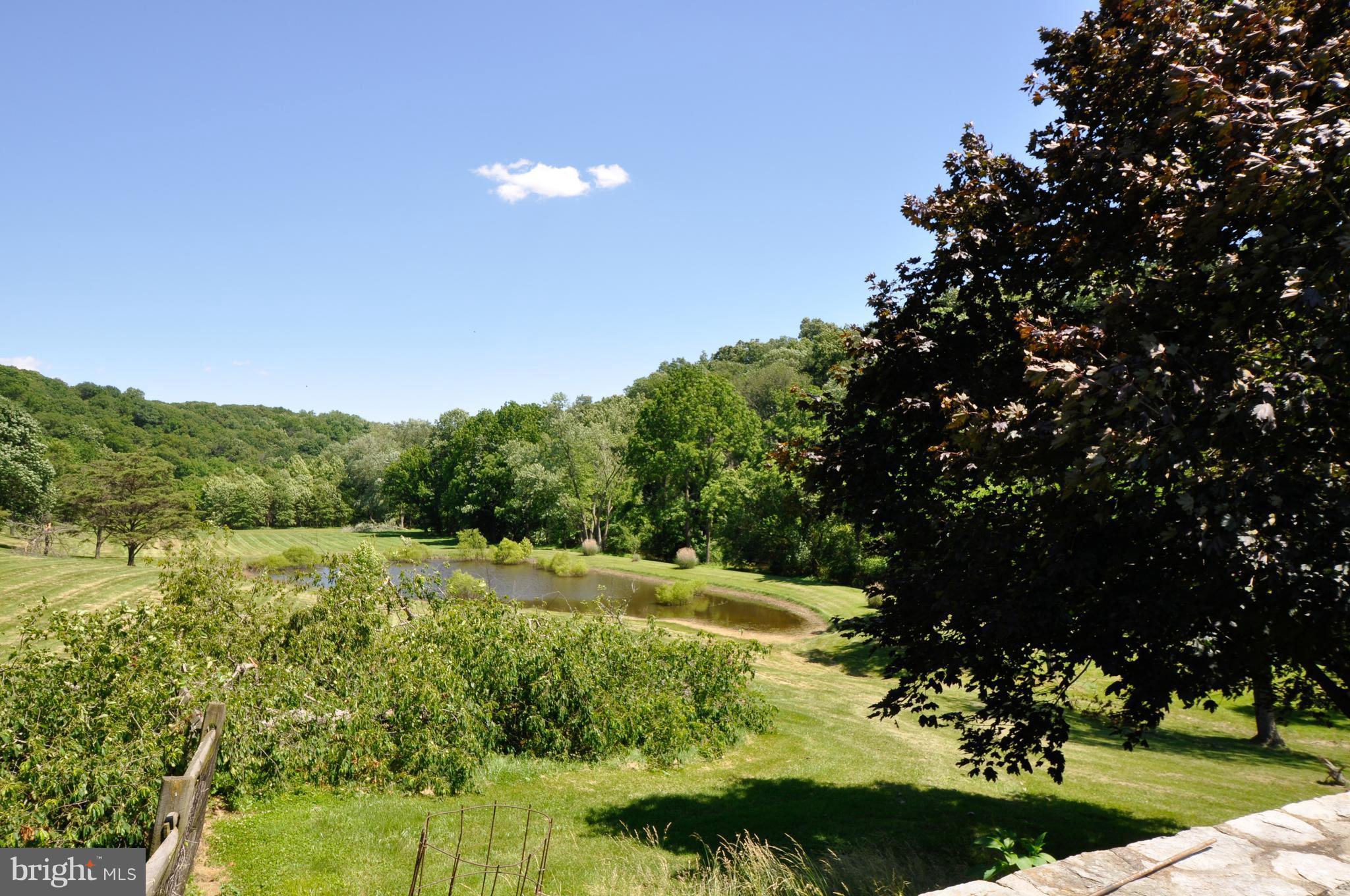 3006-3018 Sumantown Road Middletown, MD 21769 - Photo 21 of 29 View of the pond