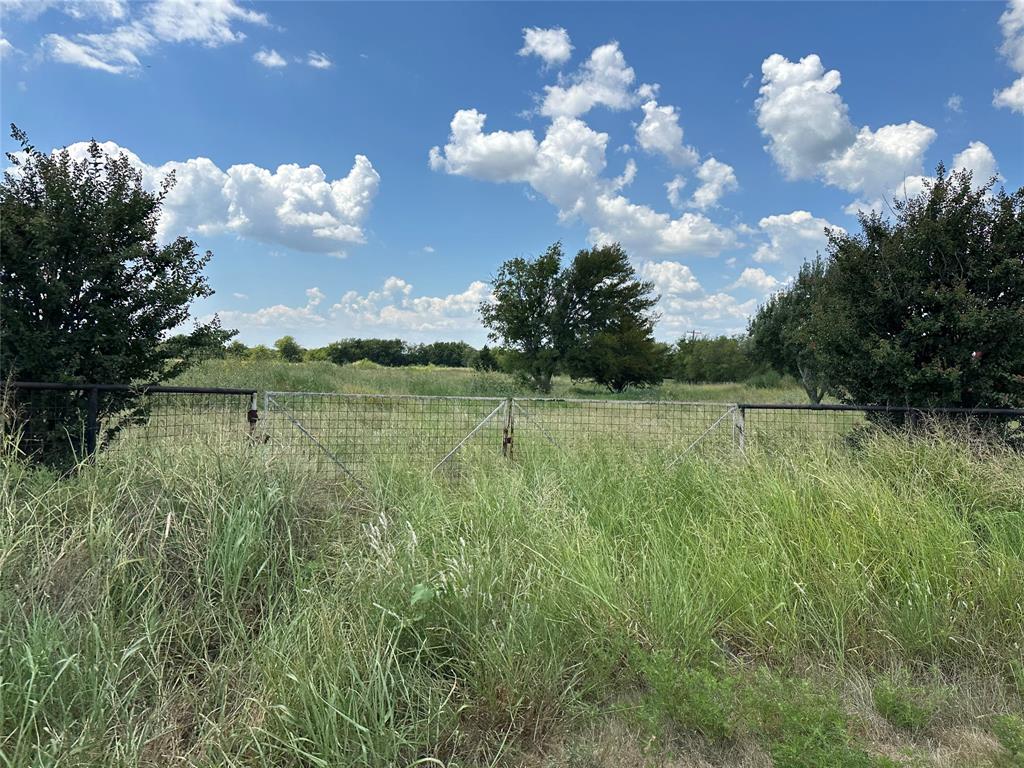 Lot 6 Rutledge Road Whitewright, TX 75491 - Photo 16 of 25