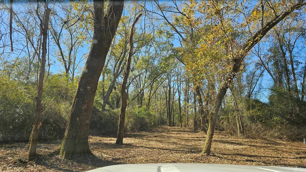 19-acres Summer Road Slocomb, AL 36375 - Photo 17 of 22