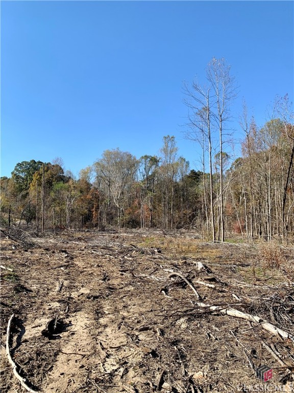 0 Center Church Road Stephens, GA 30667 - Photo 13 of 26