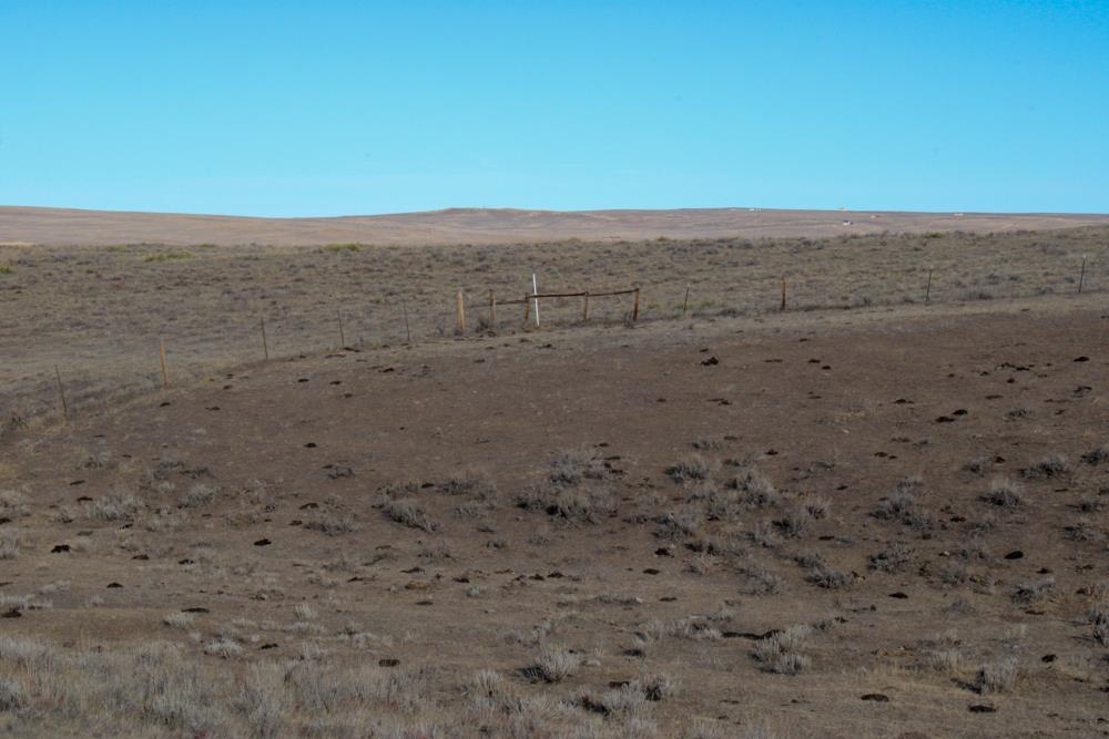 0 Stuckenhoff Street Casper, WY 82601 - Photo 32 of 41