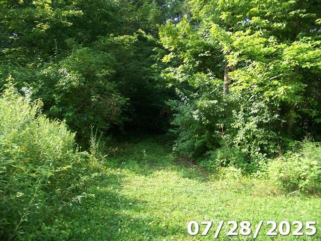 0 Owens Road East Marion, OH 43302 - Photo 2 of 7