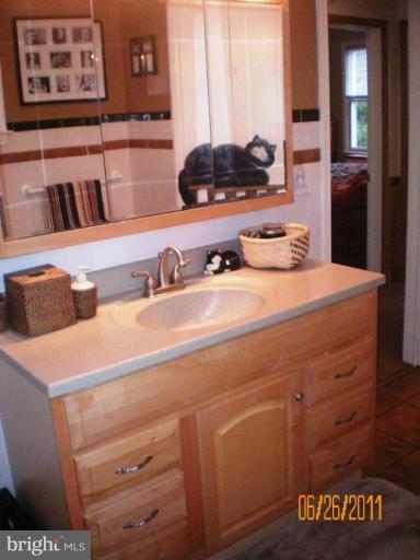 5105 Shelbourne Road Halethorpe, MD 21227 - Photo 4 of 30 a bathroom with a sink and a mirror
