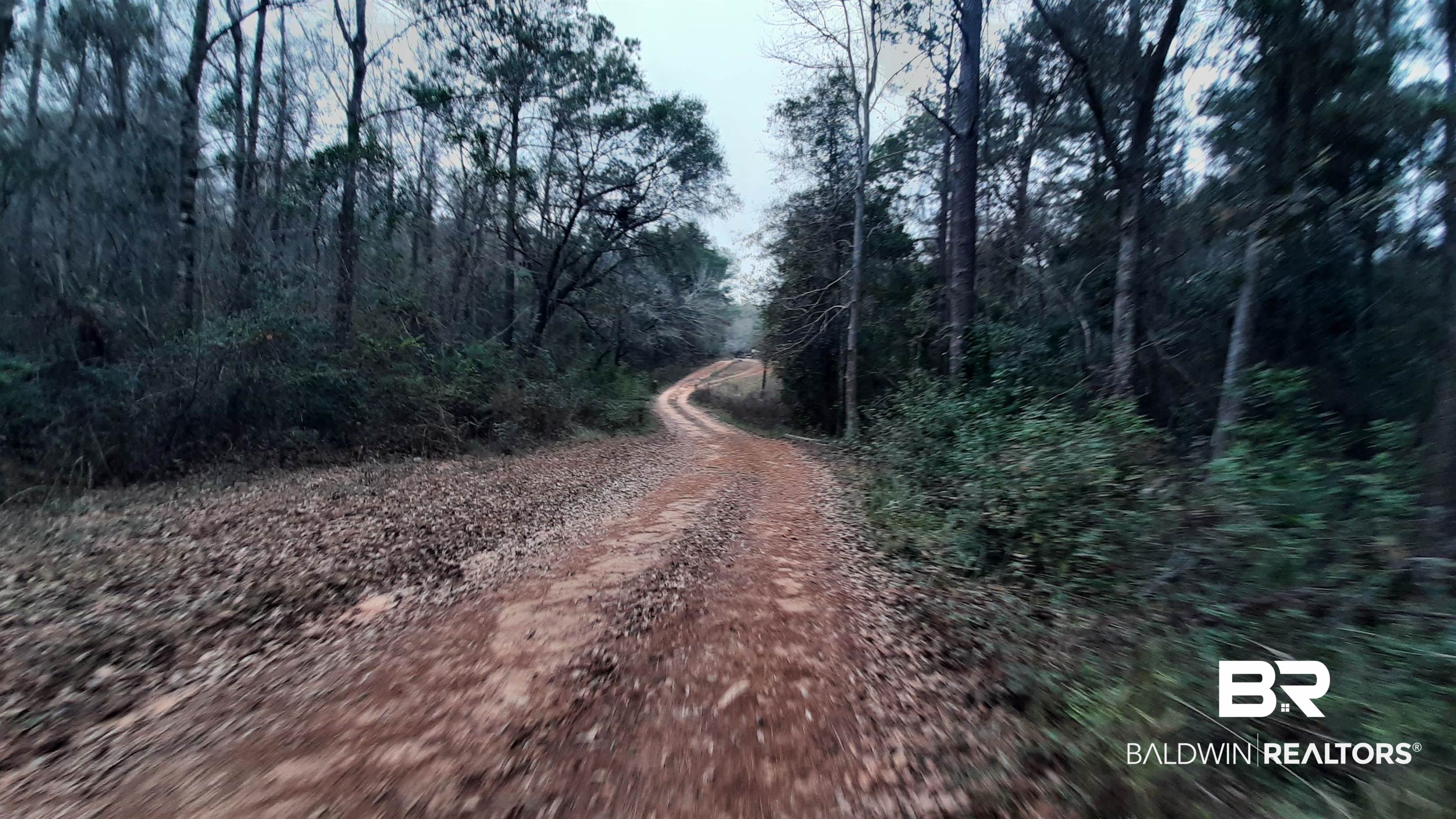 11375 Spring Lake Road Chunchula, AL 36521 - Photo 24 of 26