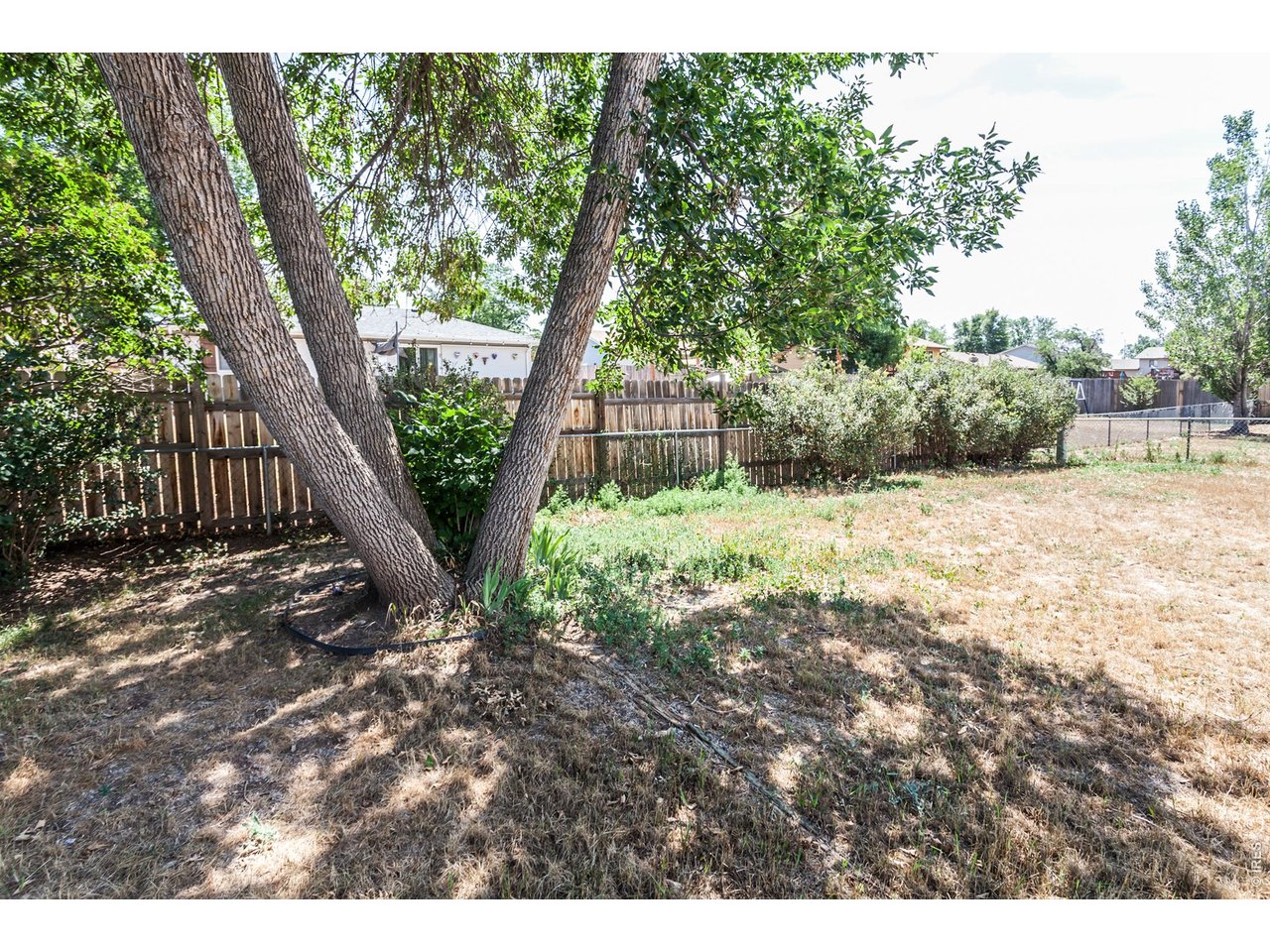 816 Tyler Street Fort Collins, CO 80521 - Photo 33 of 39 Gallery Image 33