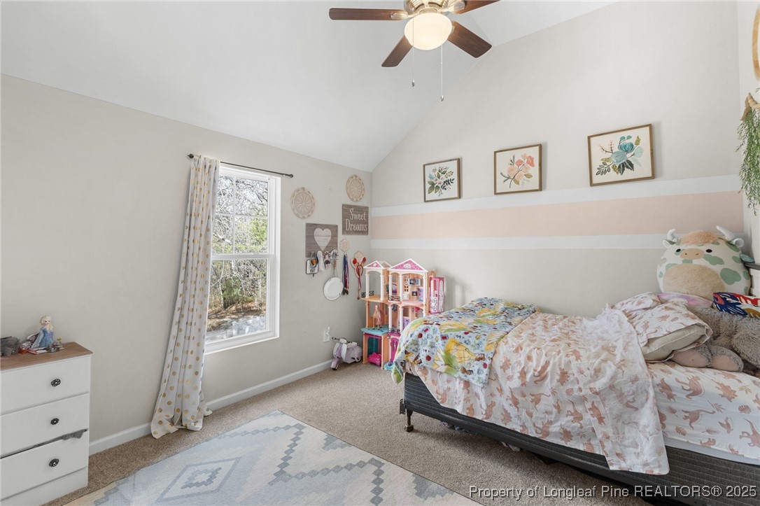 334 Heathrow Drive Spring Lake, NC 28390 - Photo 34 of 42