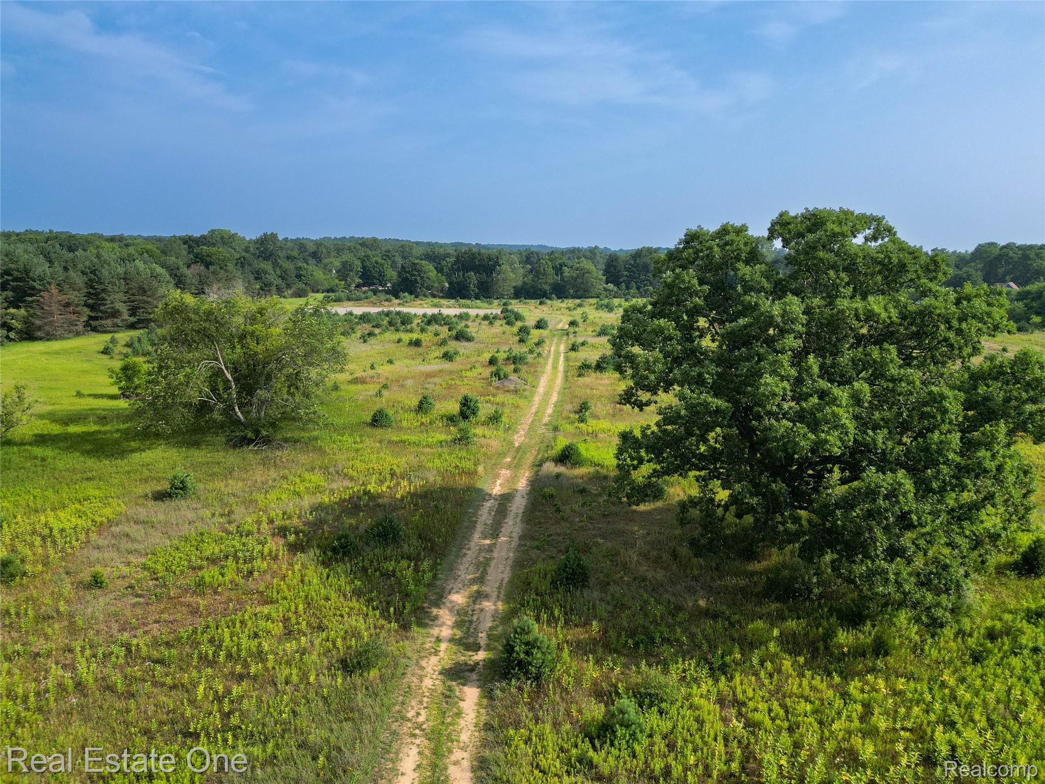 1915 North Hickory Ridge Road Highland, MI 48357 - Photo 7 of 11 29.24 Acres! Estate Home or three 8-acre lots!