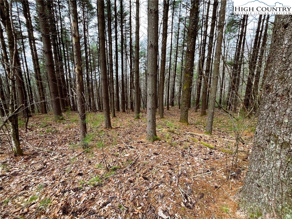 Lot #25 Cedar Ridge Drive Fleetwood, NC 28626 - Photo 2 of 5