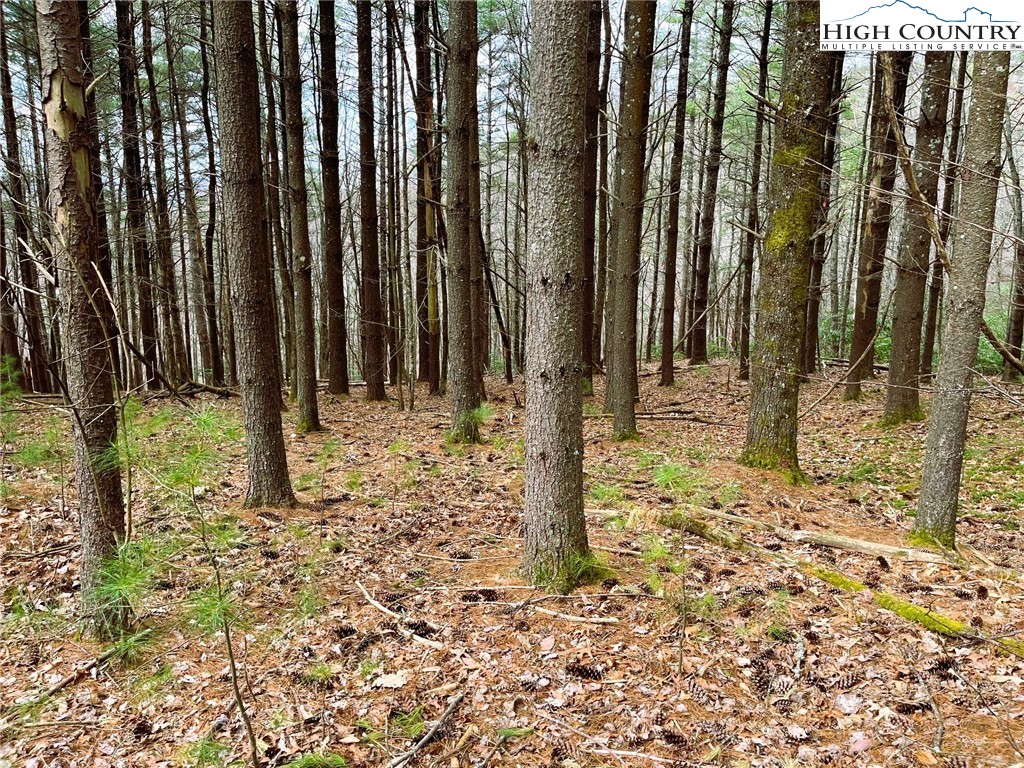 Lot #25 Cedar Ridge Drive Fleetwood, NC 28626 - Photo 3 of 5