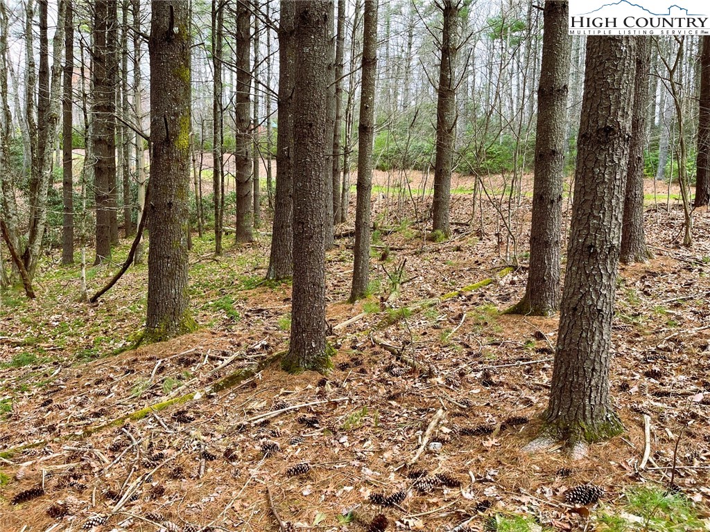 Lot #25 Cedar Ridge Drive Fleetwood, NC 28626 - Photo 4 of 5