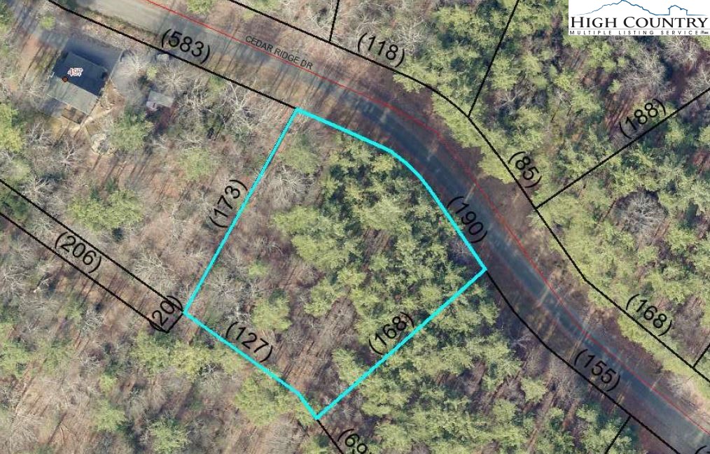 Lot #25 Cedar Ridge Drive Fleetwood, NC 28626 - Photo 5 of 5